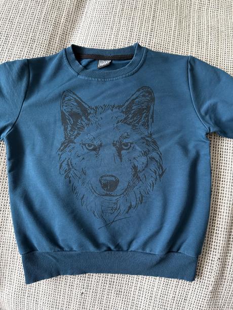 Súprava s vlkom, 128