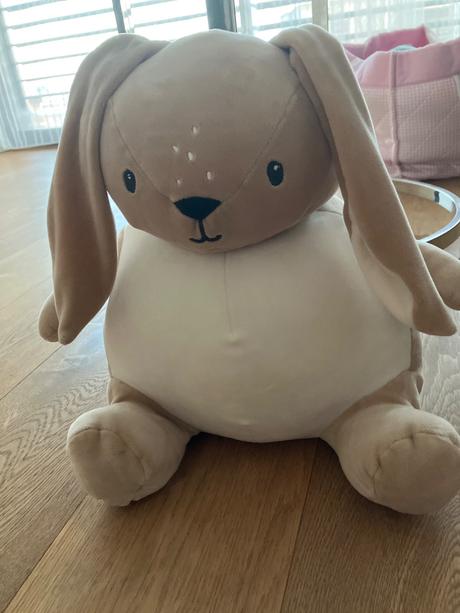 Plysovy zajacik hm home,