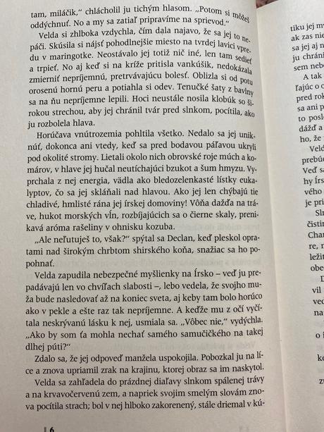 Krásna kniha krajina snov tamara mckinley,