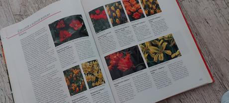 Zahrada vaše radost po cely rok, 