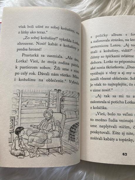 Lotka a vianoce so sobom holly webb,