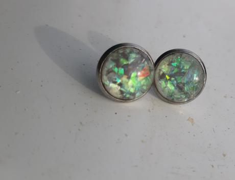 Nausnice trblietave, 