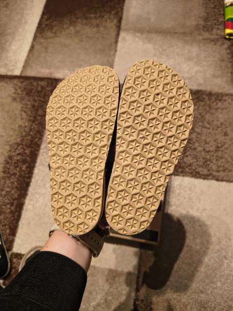 Papučky rak vesmir, rak,27