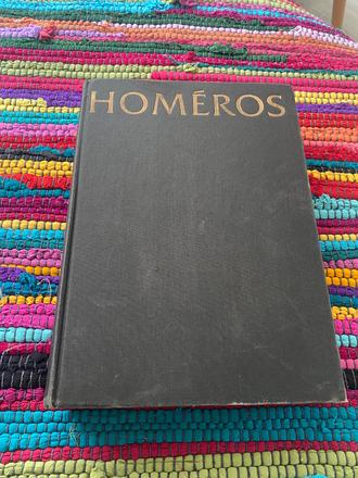 Krásna stará retro kniha homéros - ílias 1986, 