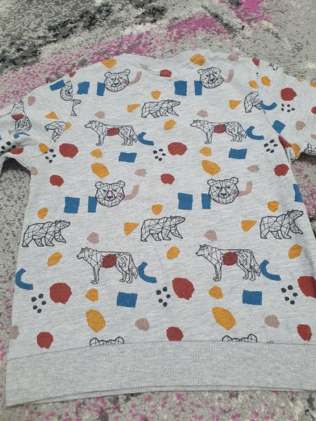 Chlapcenska tenka mikina, coccodrillo,110