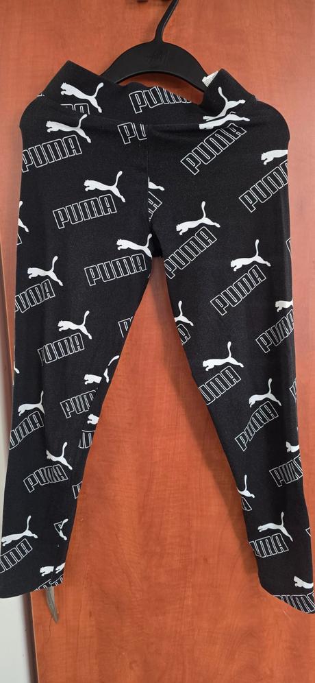 Pu.a leginy, puma,164