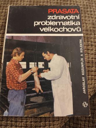 Prasata - zdravotní problematika velkochovu,