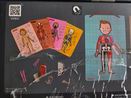 Magnetická stavebnica ľudské telo janod, 