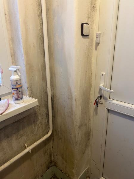 Problémy s plesňou v dome