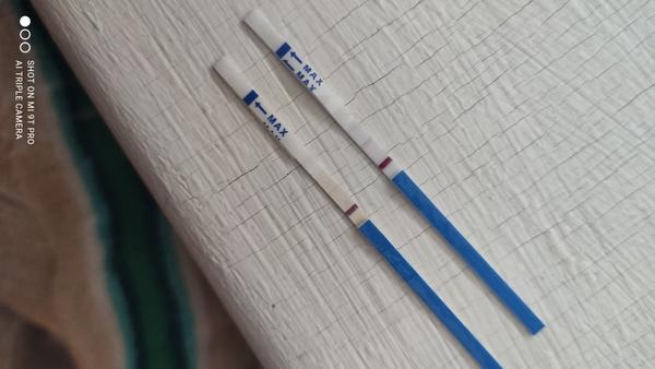 Robila som si testy. Som tehotná?