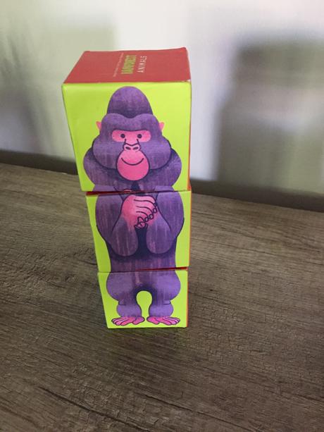 Magneticke kocky zvieratka dzungle, 