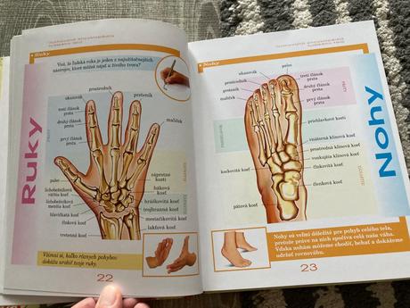 Detská ilustrovaná encyklopédia ľudské telo, 