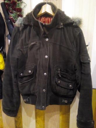 Mencestrova bundicka, l