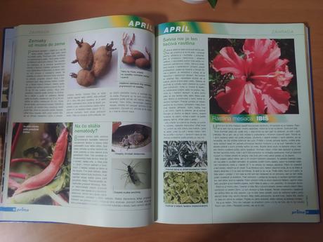 Receptár prima nápadov, 