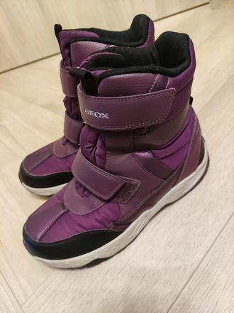 Čižmy zn.geox, geox,38