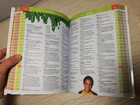 Illustrated children's dictionary & thesaurus, 