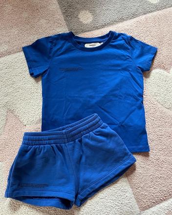 Suprava pangaia, 104