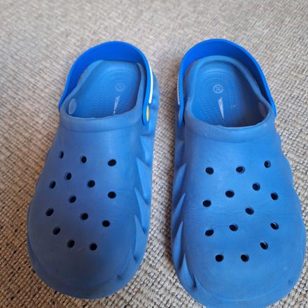 Crocsy, 34