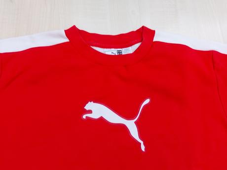 Panska mikina, puma,176