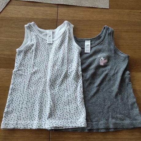 Tielka palomino, palomino,92