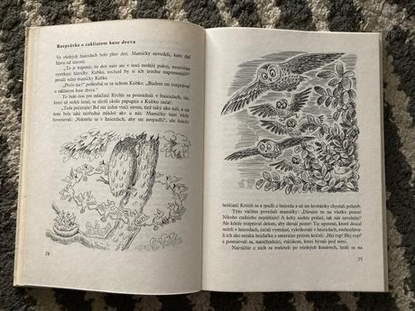 Utečenec na vtáčom strome (1982), 