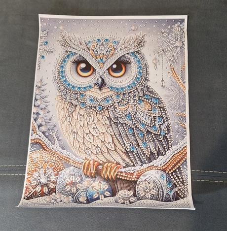 Plagát sova- obraz, 