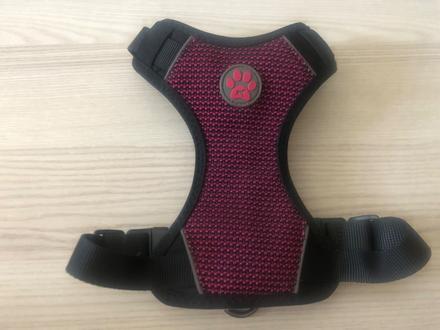 Postroj gim dog komódo xs,