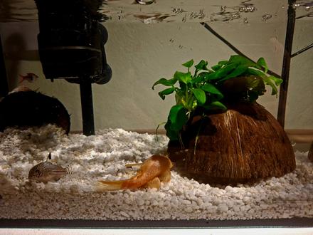 Aquarium mini 20-30l pre deti i dospelych,