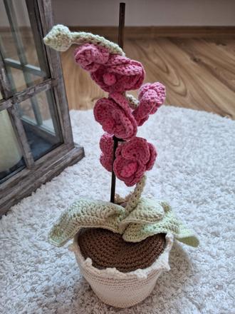 Háčkované orchidea,