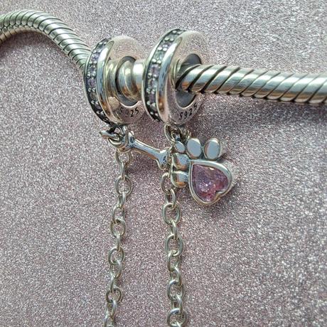 Bezpečnostná retiazka labka, 