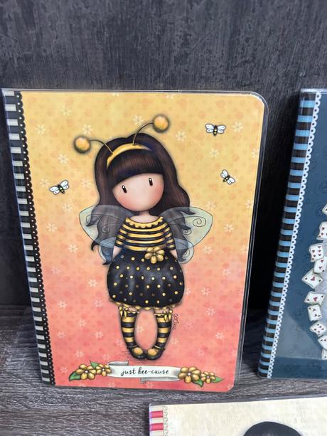 Santoro dievcenske zosity,zapisniky,