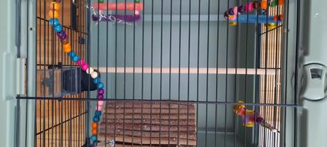 Klietka xxl pre vtaciky,