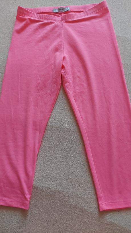 3/4 leginy, terranova,152