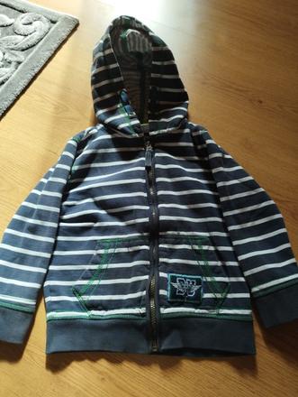 Mikinka, palomino,110