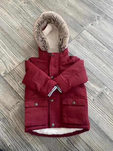 Bundicka, st. bernard,80