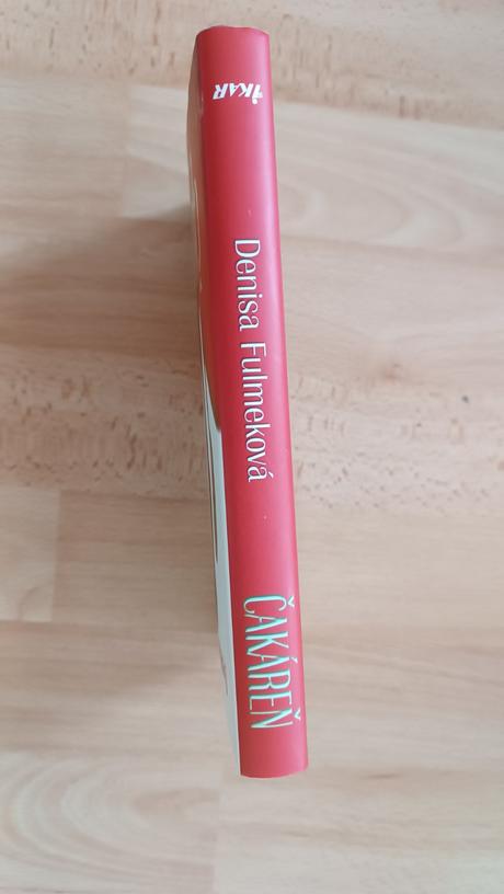 Denisa fulmeková, čakáreň,