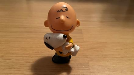 Snoopy a charlie brown- chlapček hojdajúci psíka,