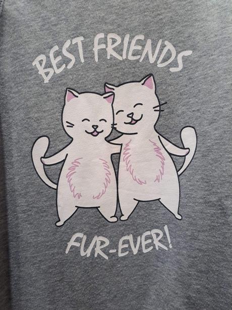 Mikina best friend forever, fishbone,164