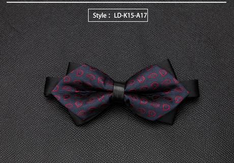 Pánsky motýlik 17, 