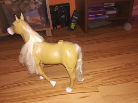 Kráčajúci a erdžiaci koník, 