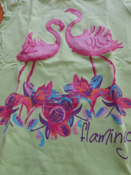 Tričko s pelikánmi, topolino,122