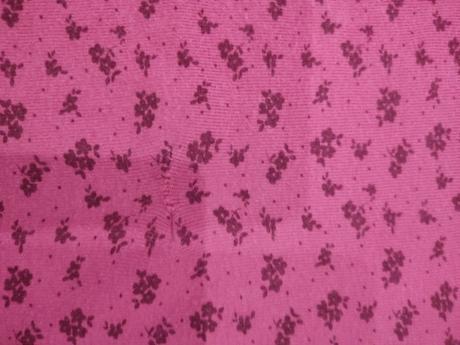 Natelnik, palomino,104