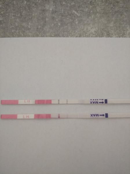 Ako má vyzerať pozitívny ovulačný test?