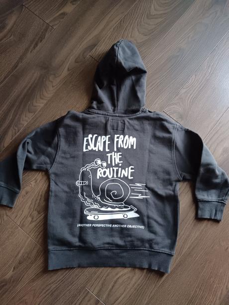 Mikina s nápisom, zara,122