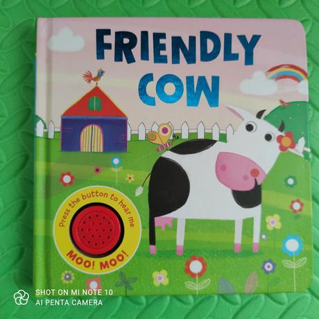 Friendly cow, 