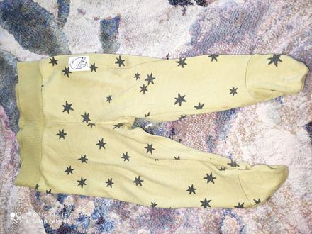 Polodupacky pinokio, pinokio,74