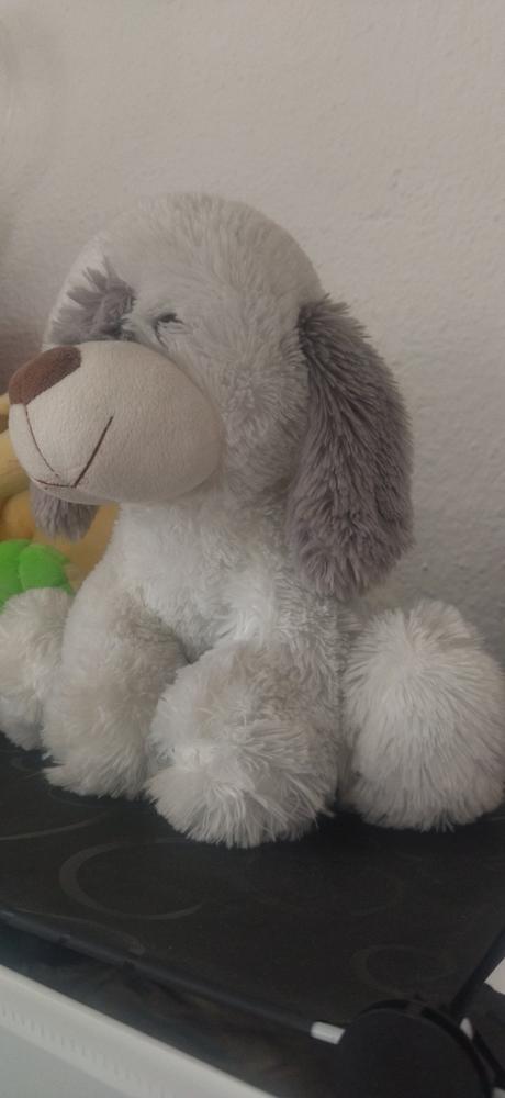 Väčší plyšový psík,