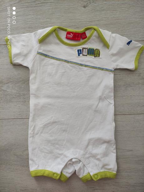 Overal puma, puma,62