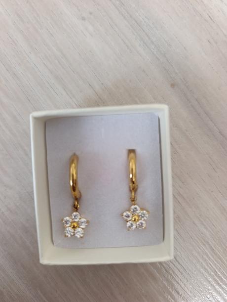 Pozlátené náušnice, 