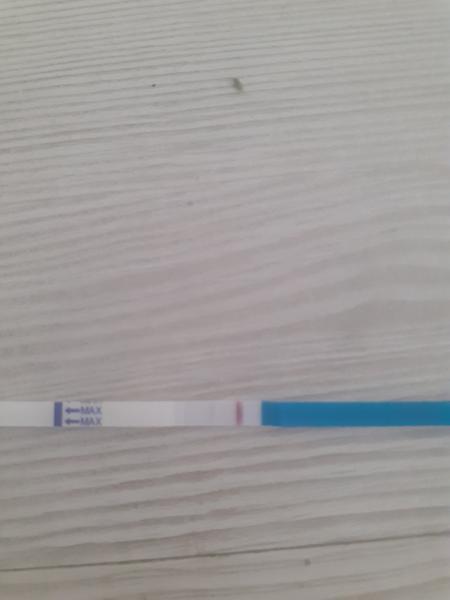 Test - je podľa vás pozitívny?